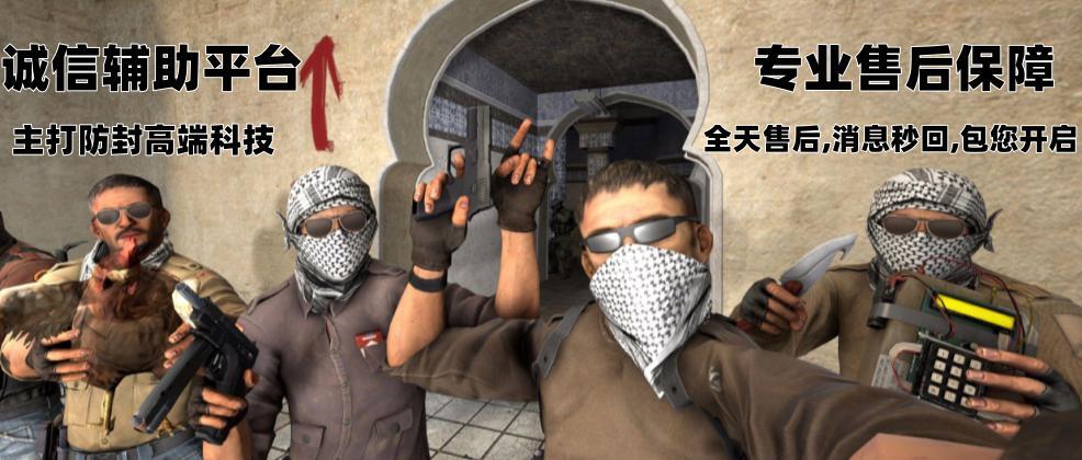 CS2辅助